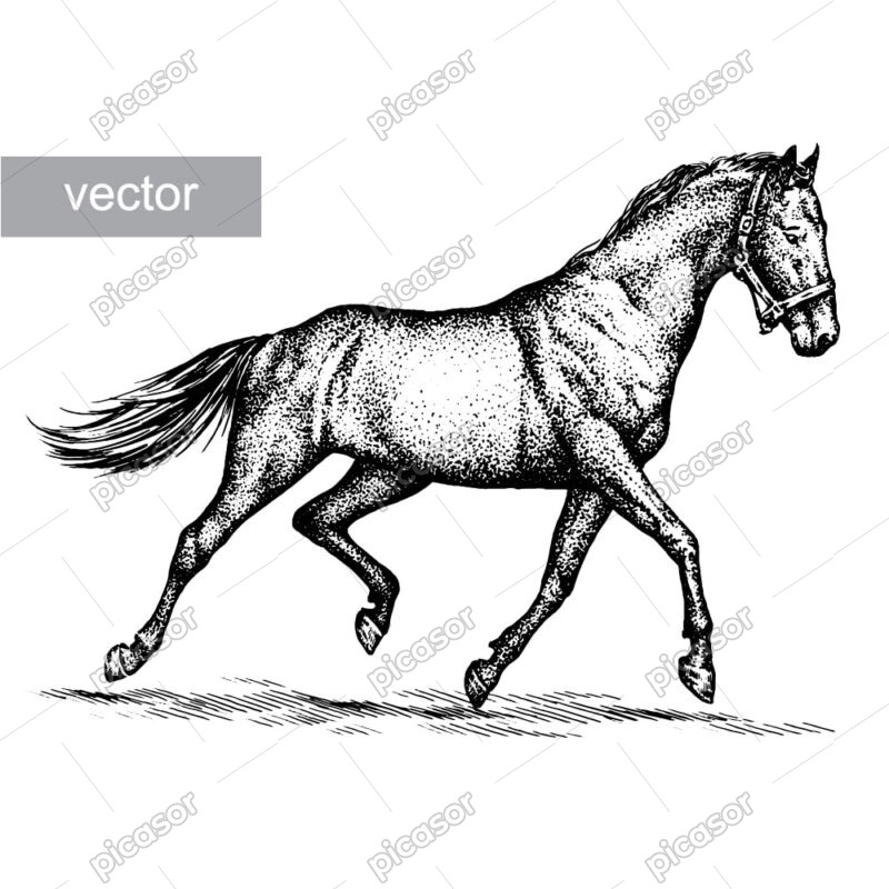 وکتور نقاشی اسب با نقطه