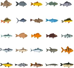 25 وکتور ماهی دریاهای آزاد