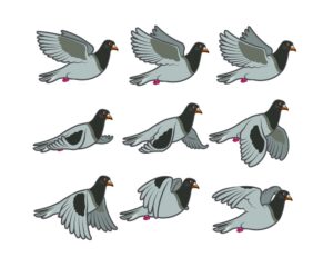 9 وکتور حالتهای پرواز کبوتر - وکتور کبوتر در حال پرواز