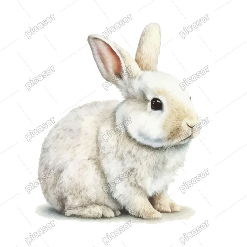 وکتور نقاشی خرگوش سفید طرح واقعی سبک آبرنگ