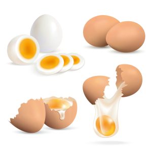 5 وکتور تخم مرغ سالم شکسته و پخته شده طراحی واقعی - وکتور تخم مرغ محلی و سفید