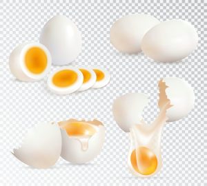5 وکتور تخم مرغ سالم شکسته و پخته شده طراحی واقعی