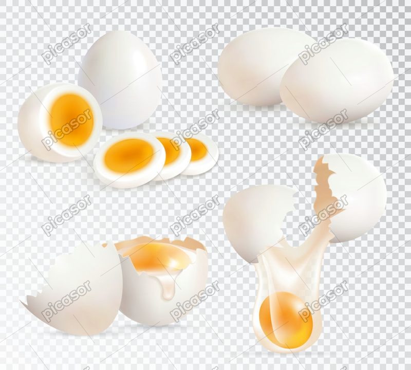 5 وکتور تخم مرغ سالم شکسته و پخته شده طراحی واقعی