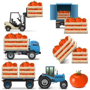 6 وکتور حمل و نقل گوجه فرنگی با لیفتراک و کامیون گوجه فرنگی