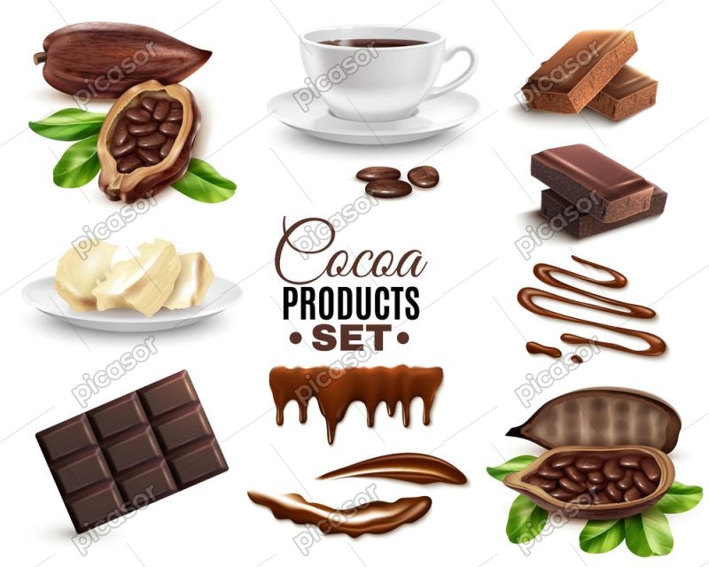 12 وکتور میوه کاکائو و شکلات و فنجان هات چاکلت