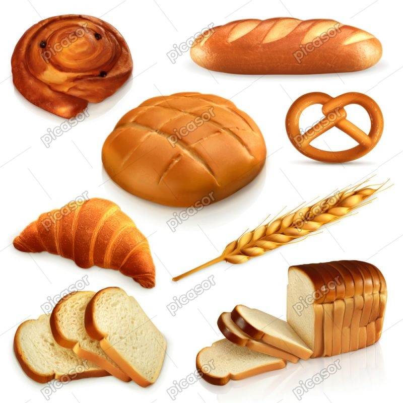 8 وکتور خوشه گندم و انواع نان فانتزی - وکتور نان دانمارکی نان شیرمال نان فرانسوی باگت و نان تست