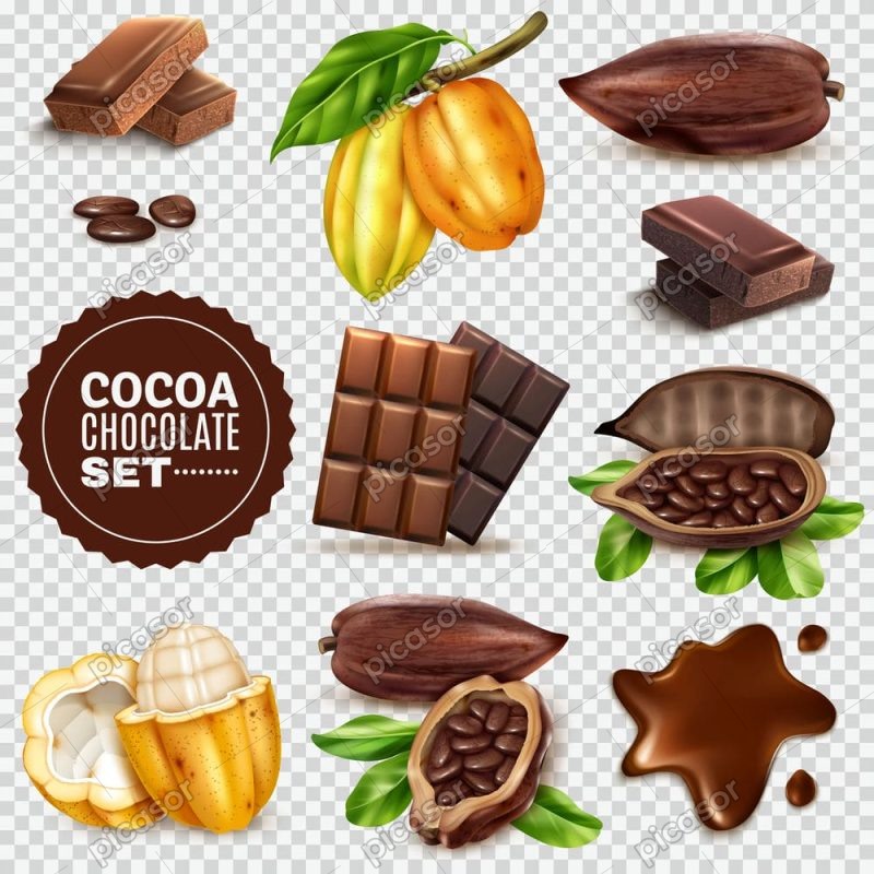 11 وکتور میوه کاکائو و محصولات شکلاتی
