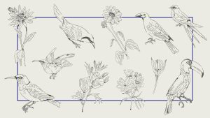 11 وکتور نقاشی پرنده و گل
