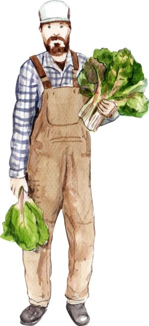 عکس کلیپ آرت نقاشی مرد کشاورز با کاهو در دست سبک آبرنگ