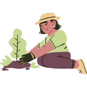 وکتور درختکاری و زمین سبز - وکتور دختر در حال کاشتن نهال درخت