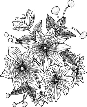 وکتور نقاشی گلها با خط - وکتور گلهای خطی