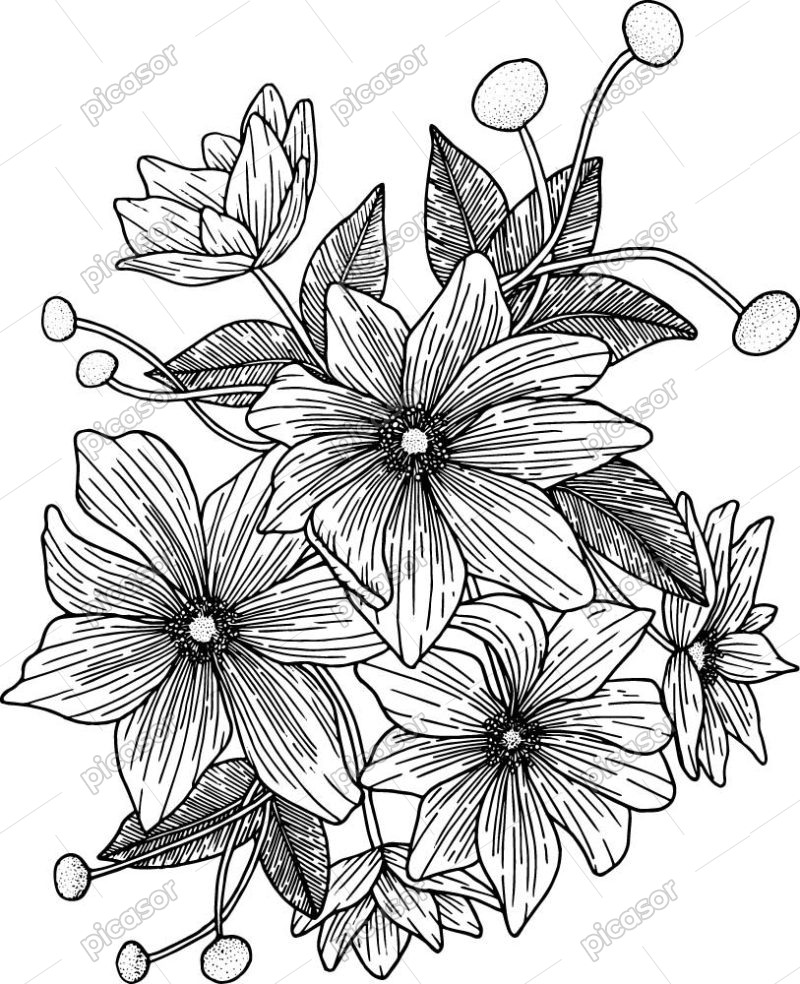 وکتور نقاشی گلها با خط - وکتور گلهای خطی