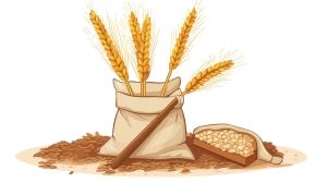 وکتور پس زمینه خوشه گندم و کیسه گندم