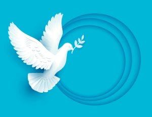 وکتور کبوتر صلح