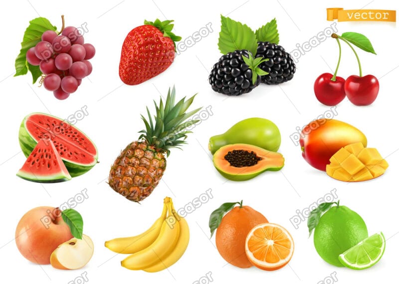 12 وکتور میوه شاتوت انگور آناناس گیلاس لیمو پرتقال توت فرنگی سیب انبه موز طراحی واقعی