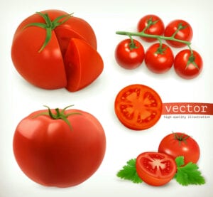 5 وکتور گوجه فرنگی واقعی سه بعدی