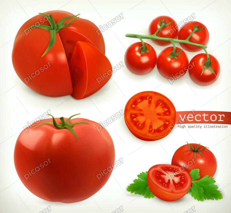 5 وکتور گوجه فرنگی واقعی سه بعدی