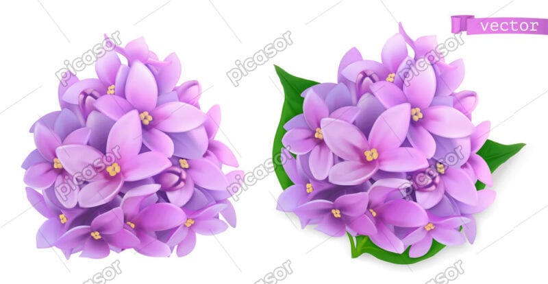 2 وکتور دسته گلهای بنفش