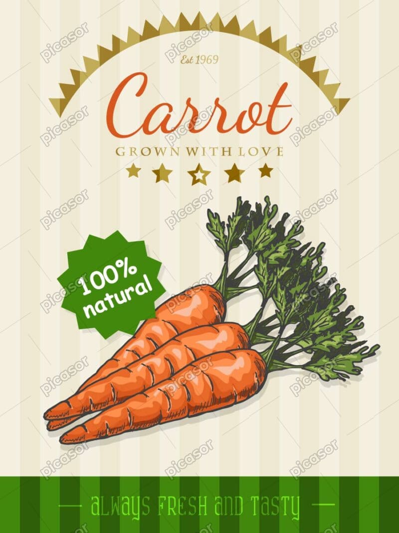 وکتور هویج وکتور پوستر هویج - وکتور پوستر سبزیجات