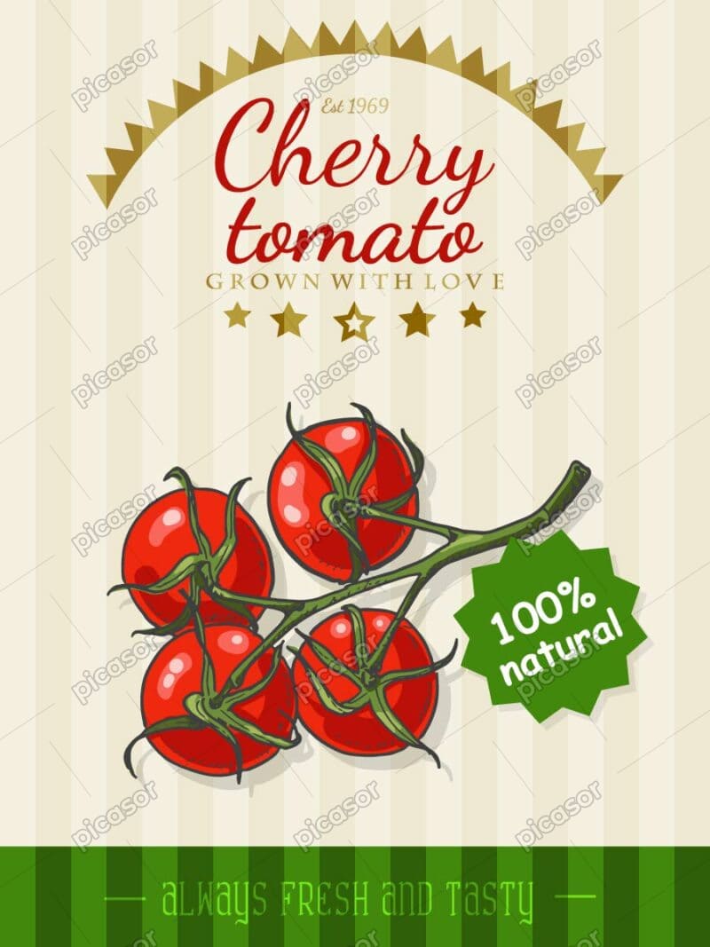 وکتور گوجه فرنگی وکتور نقاشی گوجه فرنگی - وکتور پوستر سبزیجات