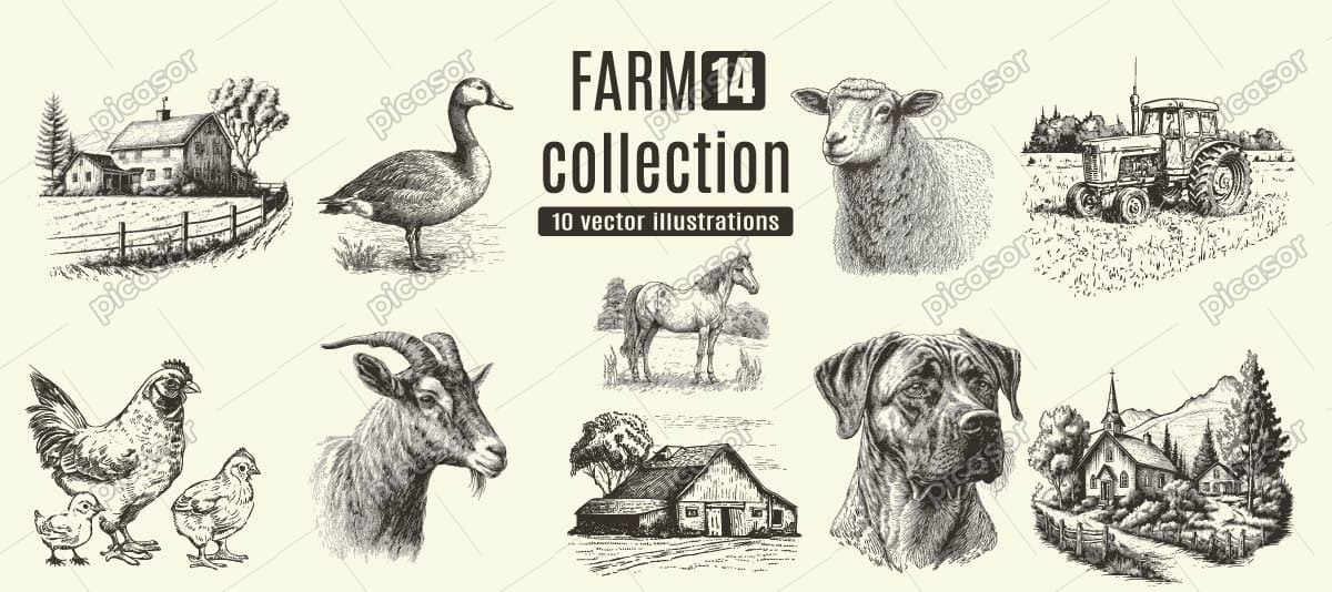 10 وکتور نقاشی مزرعه کشاورزی و حیوانات مزرعه (پک 14) - وکتور نقاشی واقعی از مرغ جوجه گوسفند بز سگ اسب غاز طویله تراکتور 10 وکتور نقاشی مزرعه کشاورزی و حیوانات مزرعه (پک 14) - وکتور نقاشی واقعی از مرغ جوجه گوسفند بز سگ اسب غاز طویله تراکتور