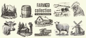 10 وکتور نقاشی مزرعه کشاورزی و حیوانات مزرعه (پک Farm 12) - وکتور نقاشی واقعی از بز گاو گوسفند خروس کلبه طویله بشکه آسیاب بادی کمباین