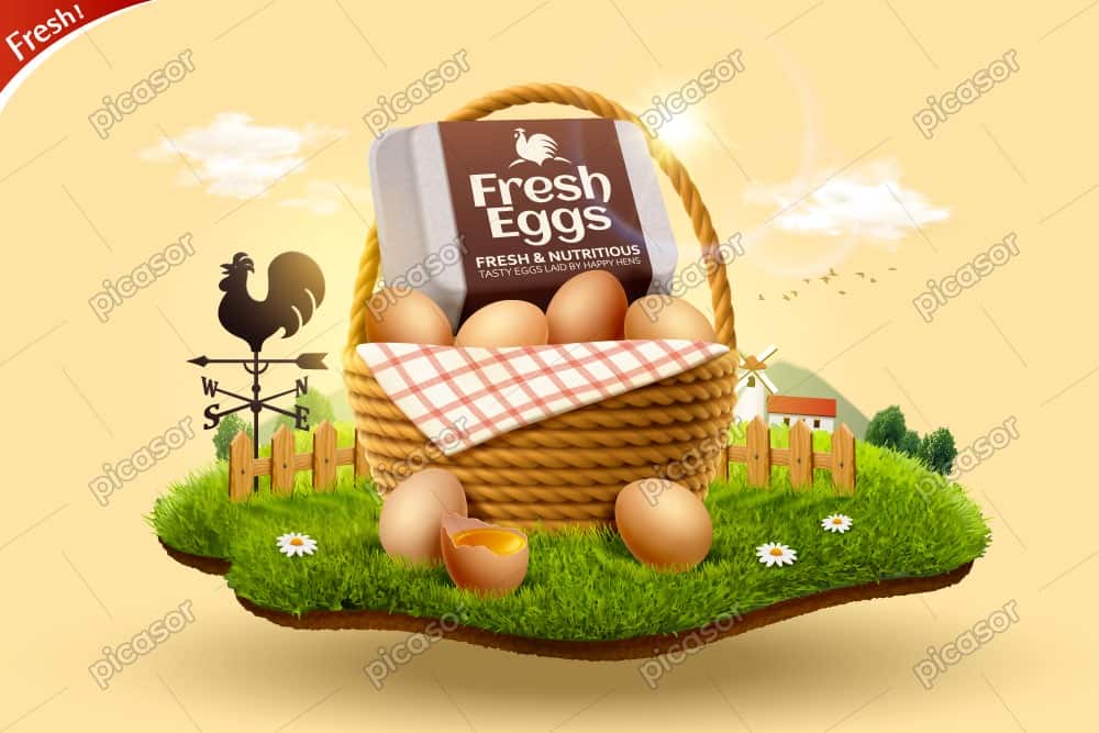 وکتور شانه تخم مرغ با سبد تخم مرغ طراحی واقعی و مدرن بنر تبلیغاتی تخم مرغ ارگانیک وکتور شانه تخم مرغ با سبد تخم مرغ طراحی واقعی و مدرن بنر تبلیغاتی تخم مرغ ارگانیک
