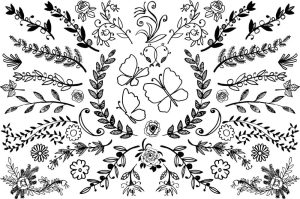 مجموعه وکتور برگ و شاخه سبک نقاشی دودل آرت