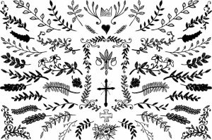 وکتور نقاشی شاخه درخت، گل، برگ نقاشی مینیمال