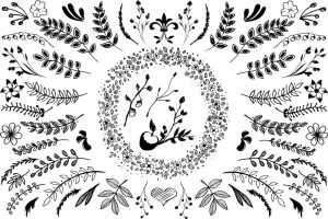 مجموعه وکتور نقاشی دودل شاخه برگدار و قاب گل