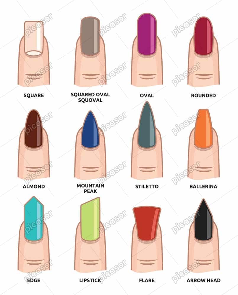 12 وکتور طرح ناخن لاک زده شده 12 وکتور طرح ناخن لاک زده شده