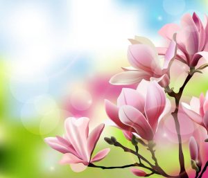 وکتور پس زمینه شکوفه گلهای صورتی